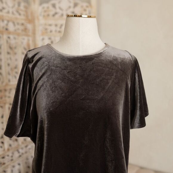 Women’s Madewell Short‎ Sleeve Slate Velvet Top size S - Picture 2 of 6